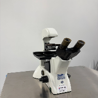 EuroMex Microscope image 1